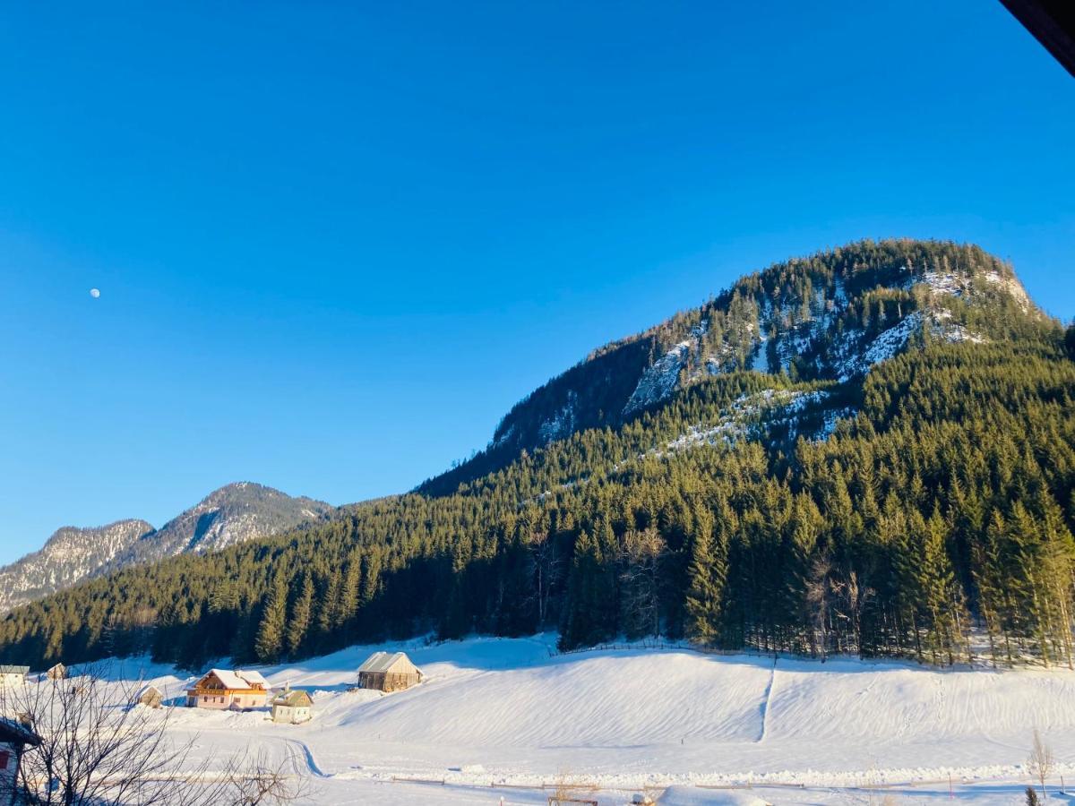 Hallstatt Dachstein Inn Gosau Buitenkant foto